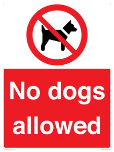 No dogs allowed